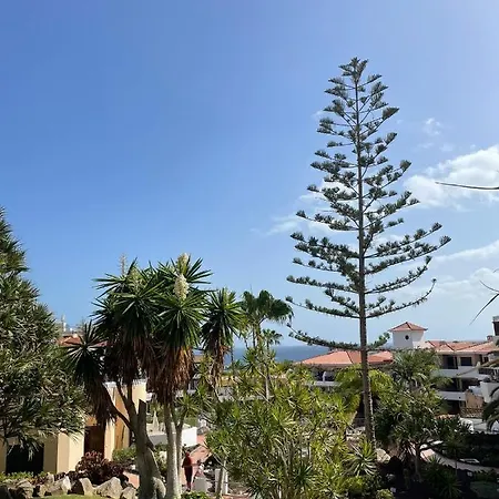 Paraiso Albatros, Beautiful Complex アパート